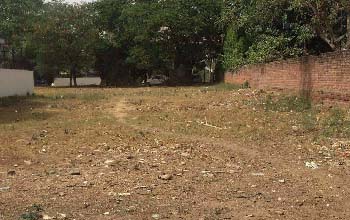 1000 Sq Yard Plot For Sale in DLF Phase 1