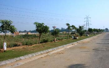 Industrial Plots in Bahadurgarh