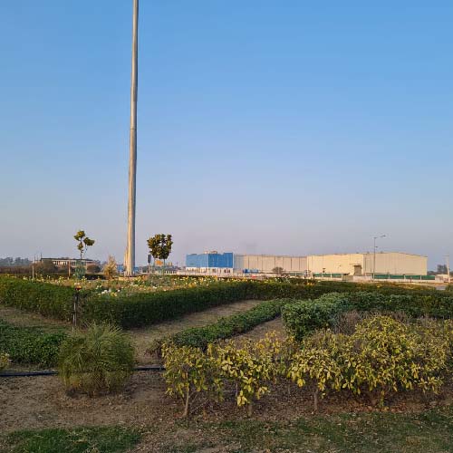 Model Economic Township