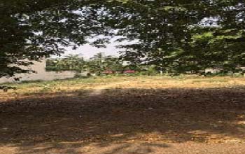 1000 Sq Yard Plot For Sale in DLF Phase 2 Gurgaon