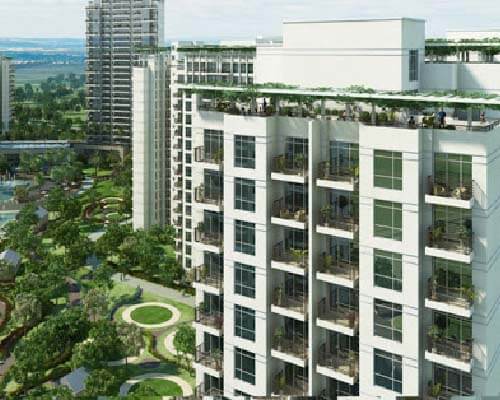 Cenrtral Park Resorts