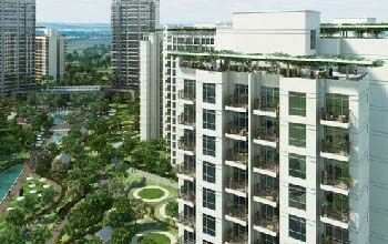 2 BHK Apartment For Sale in Central Park Resorts Gurgaon