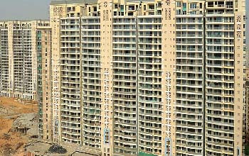 DLF Magnolias Rent