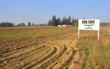 Land For Sale in Farukhnagar