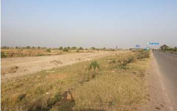 Land For Sale in Badli Jhajjar Near KMP Expressway