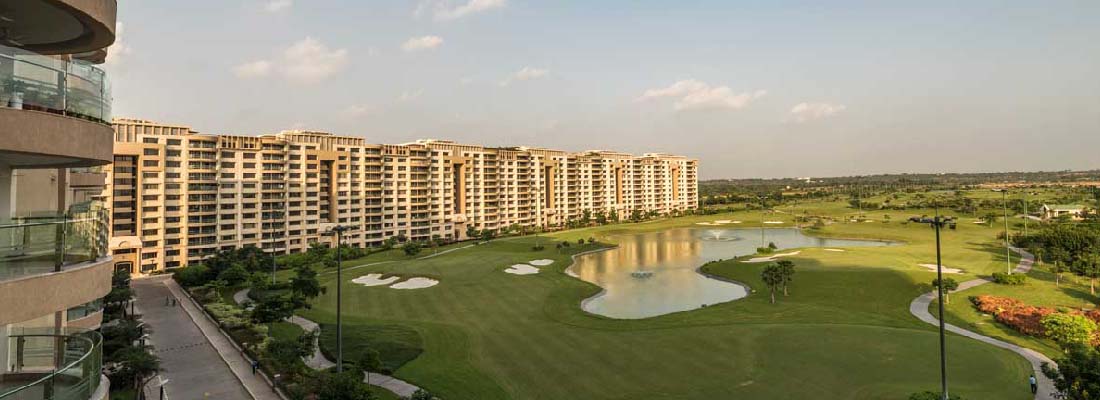 Ambience Caitriona For Rent