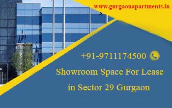 Showroom Space For Lease in Sector 29 Gurgaon