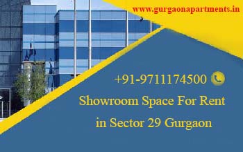 Showroom Space For Rent in Sector 29 Gurgaon